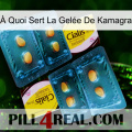 À Quoi Sert La Gelée De Kamagra cialis5